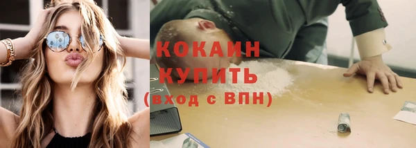 стаф Липки