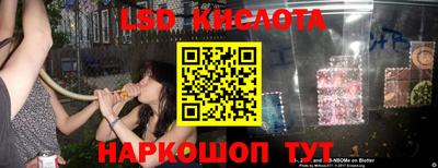 a pvp Гатчина