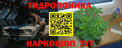 гидра Гагарин