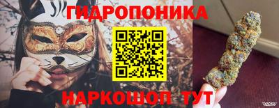 гидра Гагарин