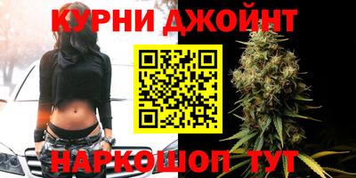 a pvp Гатчина