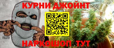 гидра Гагарин