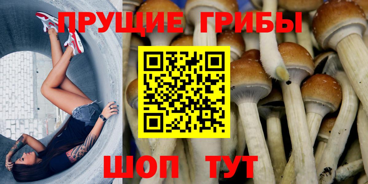 Псилоцибиновые грибы GOLDEN TEACHER Красноярск