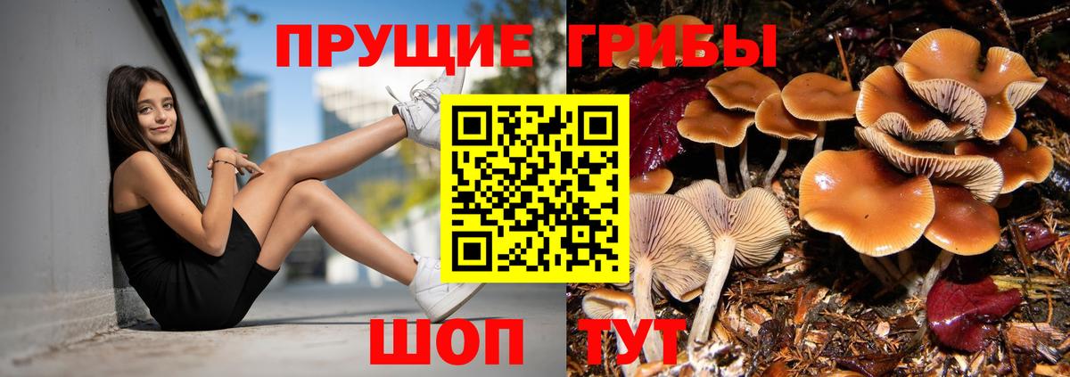 Красноярск  Галлюциногенные грибы MAGIC MUSHROOMS  Вход с VPN  Галлюциногенные грибы мицелий 