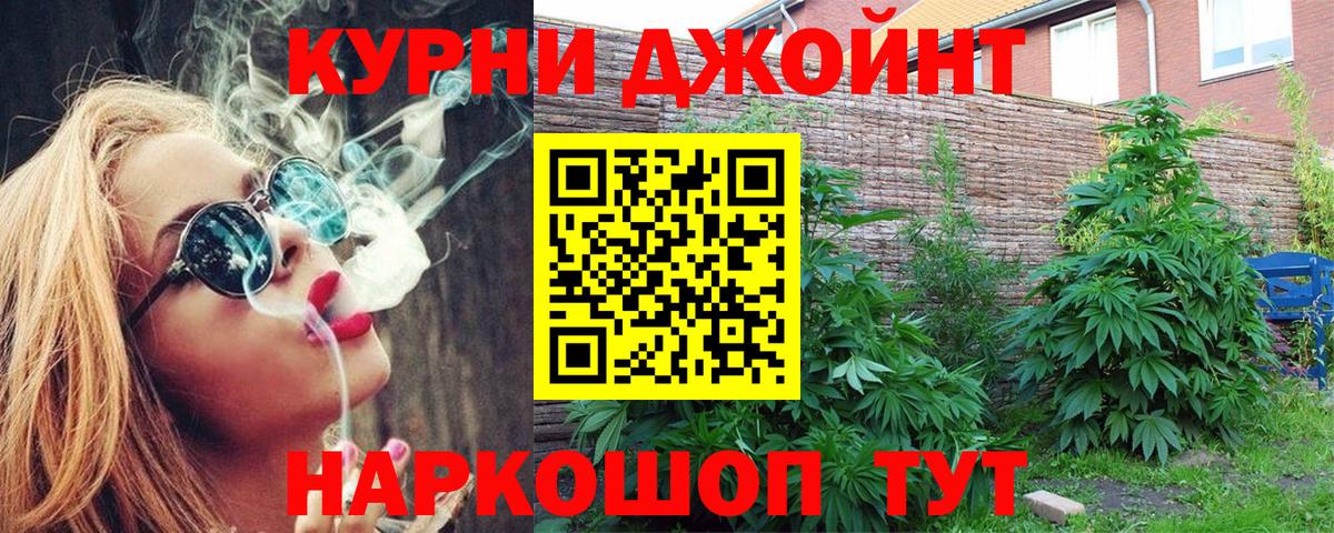 Канабис сатива Красноярск